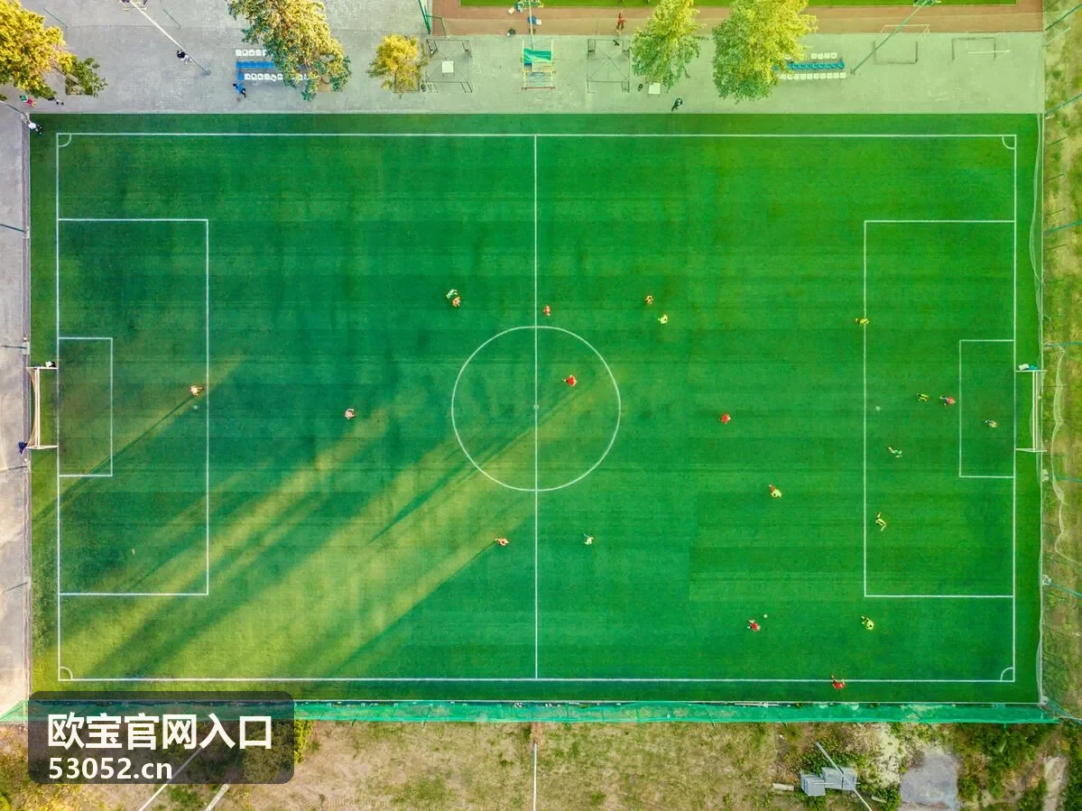 欧宝官网入口意见与反馈通道服务卡片