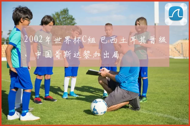 2002年世界杯C组 巴西土耳其晋级，中国哥斯达黎加出局