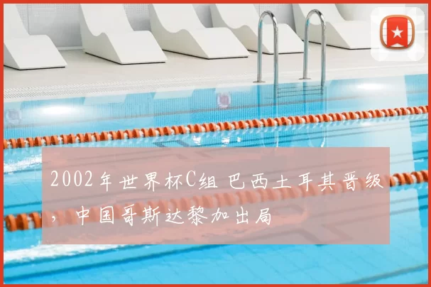 2002年世界杯C组 巴西土耳其晋级，中国哥斯达黎加出局