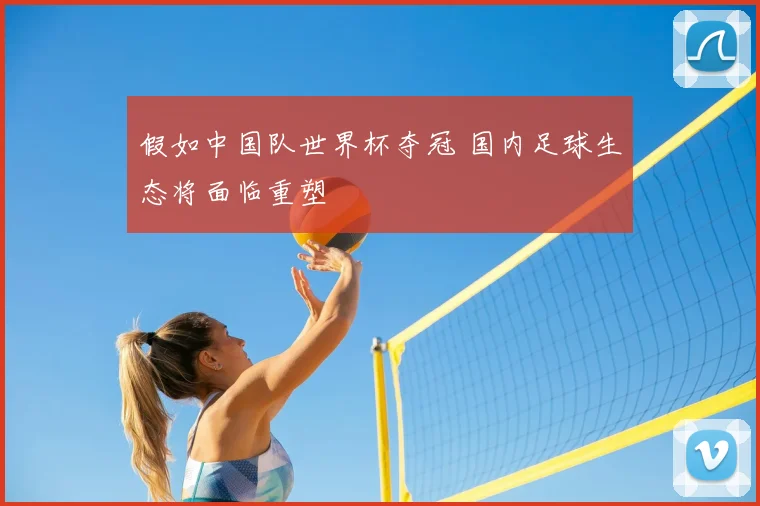 假如中国队世界杯夺冠 国内足球生态将面临重塑