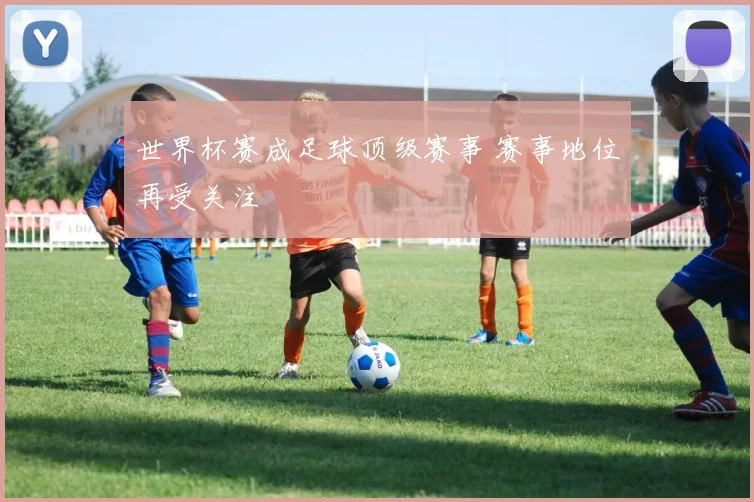 世界杯赛成足球顶级赛事 赛事地位再受关注