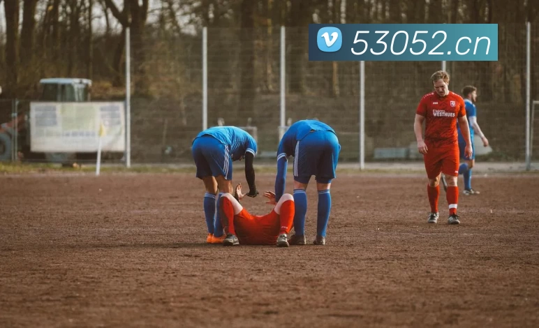 多媒体互动体验